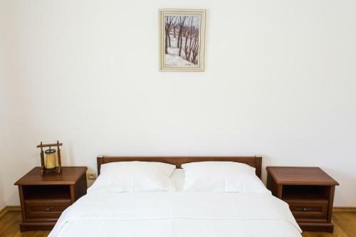 Hostal Pensiunea Roua