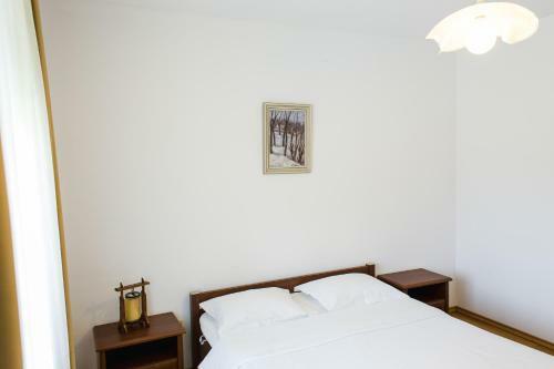 Hostal Pensiunea Roua