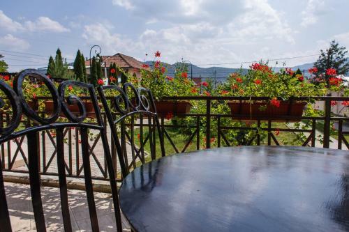 Hostal Pensiunea Roua