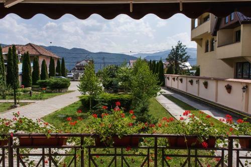 Hostal Pensiunea Roua
