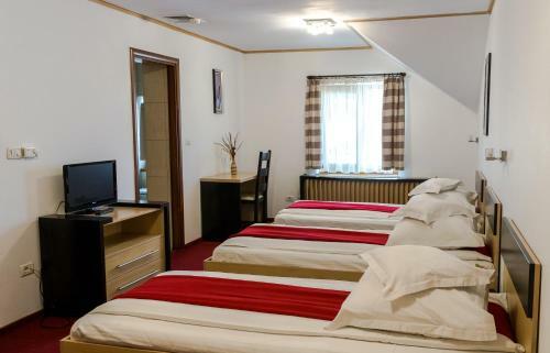 Hostal Pensiunea Komodo