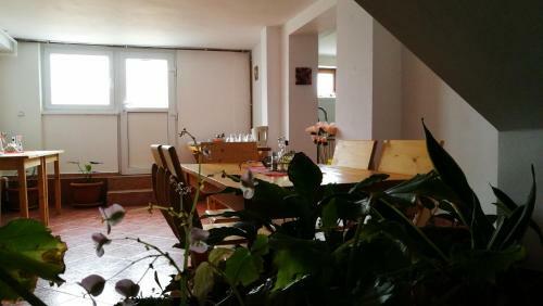 Hostal Vitalis Family