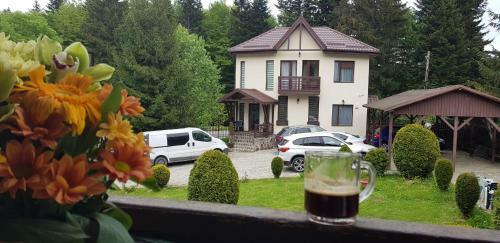 Hostal Fox Valley Villa