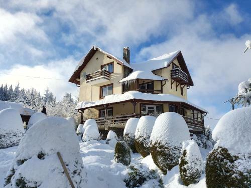 Hostal Fox Valley Villa