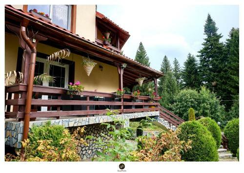 Hostal Fox Valley Villa