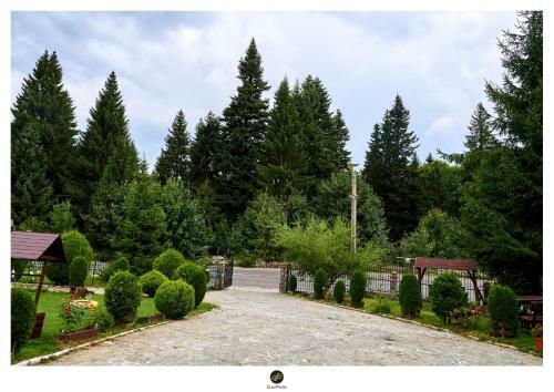 Hostal Fox Valley Villa