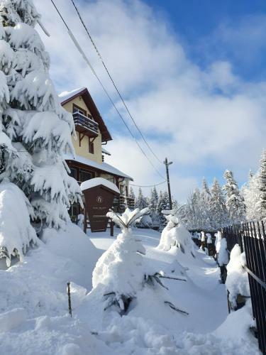 Hostal Fox Valley Villa