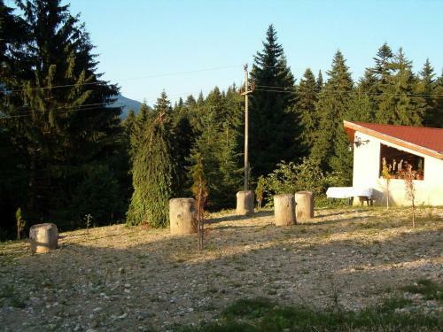 Hostal Complex Panoramic Predeal