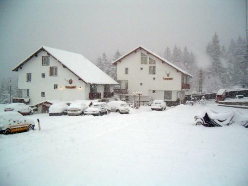 Hostal Complex Panoramic Predeal