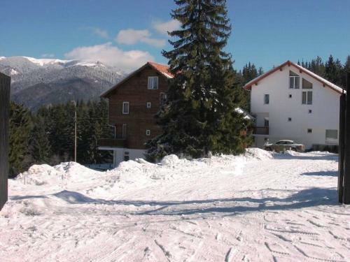 Hostal Complex Panoramic Predeal