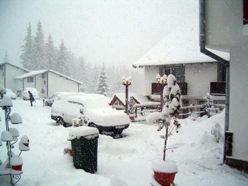 Hostal Complex Panoramic Predeal