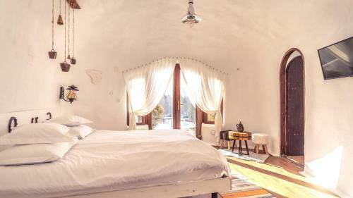 Hostal Pensiunea Dealul Verde