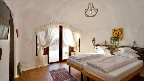 Hostal Pensiunea Dealul Verde