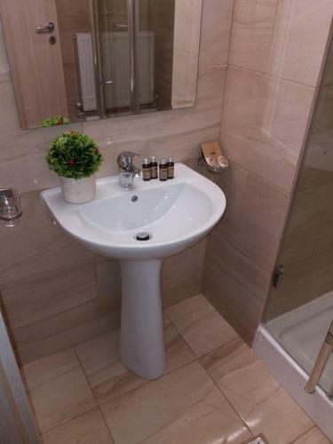 Hostal Park Luxury Rooms