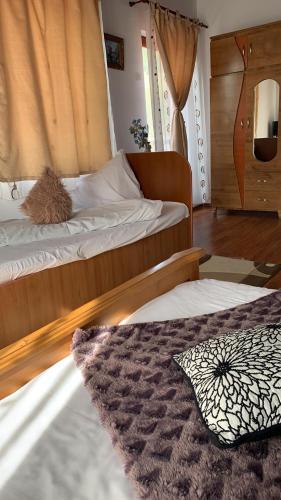 Hostal Pensiunea Restaurant Bucovina (Carmeniasrl)