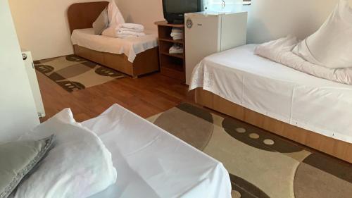 Hostal Pensiunea Restaurant Bucovina (Carmeniasrl)