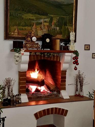 Hostal Pensiunea Restaurant Bucovina (Carmeniasrl)