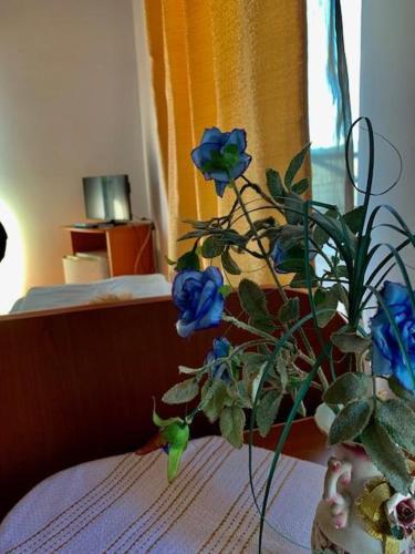 Hostal Pensiunea Restaurant Bucovina (Carmeniasrl)