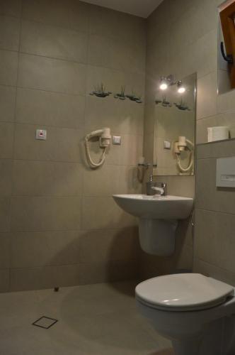 Hostal Cazare 77