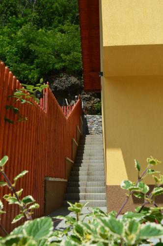 Hostal Cazare 77