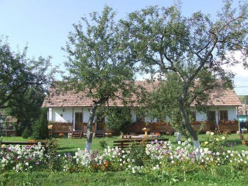 Posada Cserekert, Alszegi Porta