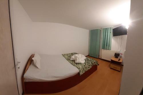 Hostal Vila Trei Brazi