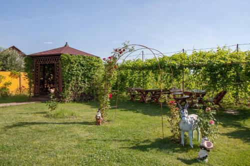 Hostal Pensiunea Andrei