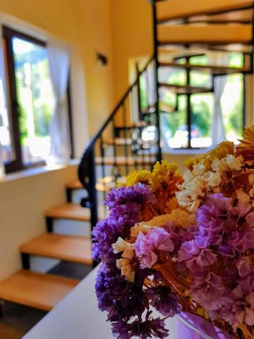 Hostal Guest House Carpathia