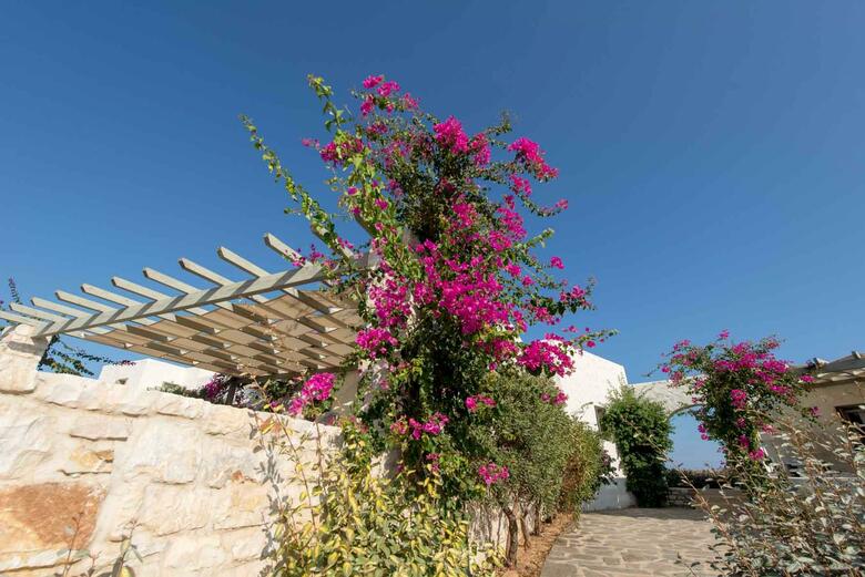 Apartamento Stagones Luxury Villas