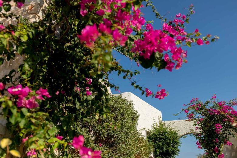 Apartamento Stagones Luxury Villas
