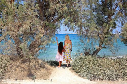 Villa Paradise In Naxos