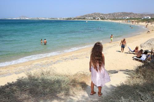 Villa Paradise In Naxos