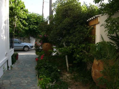 Hostal Oasis Studios