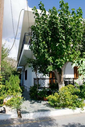 Hostal Oasis Studios