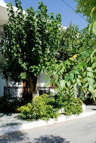 Hostal Oasis Studios