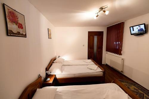 Hostal Pensiunea Flori Sibiel
