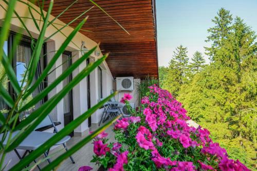 Hostal Villa Alice