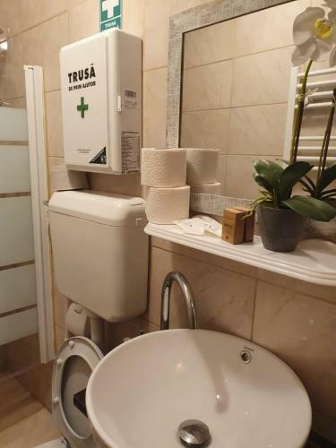 Hostal Mara D'or Suites Sinaia