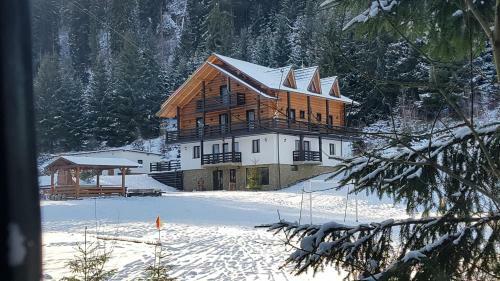Villa Pensiunea Waldhaus - Vatra Dornei