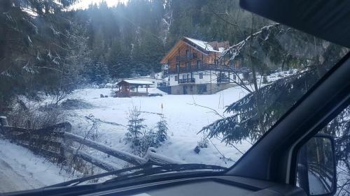 Villa Pensiunea Waldhaus - Vatra Dornei