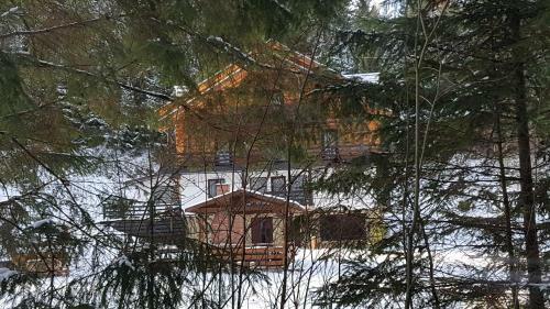 Villa Pensiunea Waldhaus - Vatra Dornei