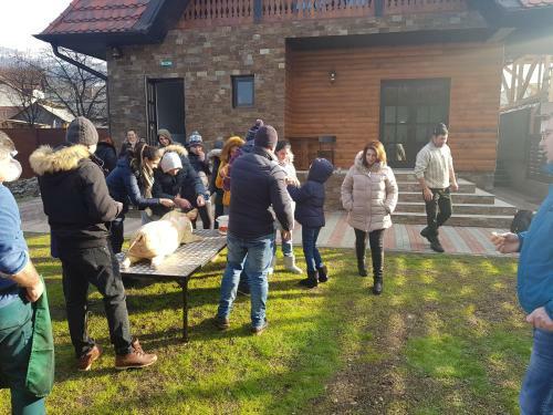 Hostal Piatra Soimului