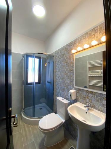 Hostal Pensiunea Maramures Guesthouse