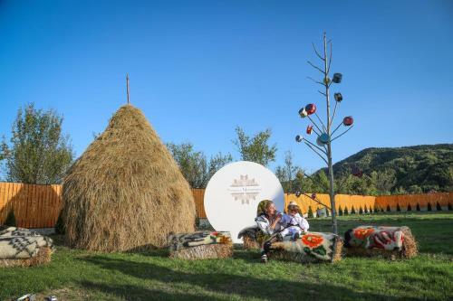 Hostal Pensiunea Maramures Guesthouse