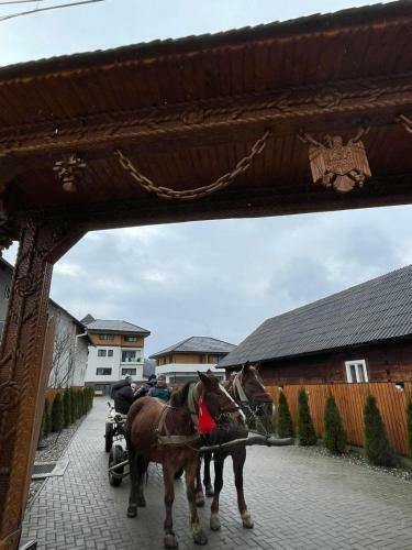 Hostal Pensiunea Maramures Guesthouse