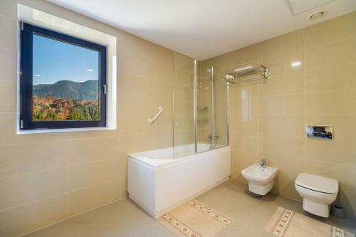Fabulous Panorama Silver Mountain 3 Rooms Apartment