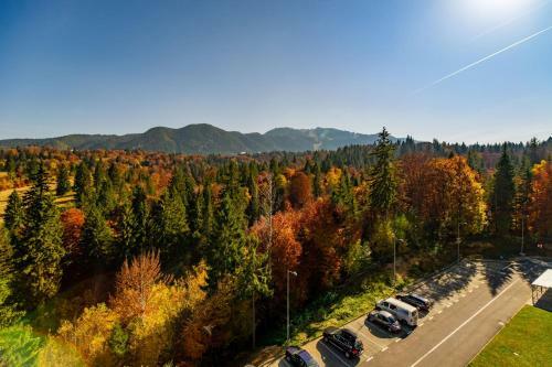 Fabulous Panorama Silver Mountain 3 Rooms Apartment