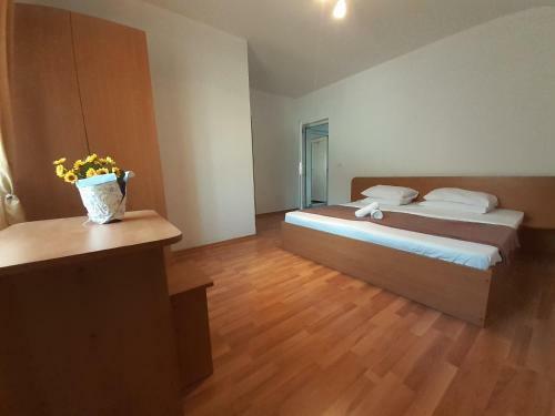 Hostal Vila Raysa Si Andrei Costinesti