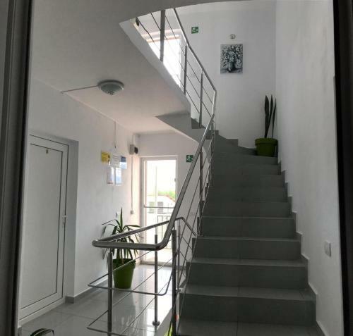 Hostal Vila Raysa Si Andrei Costinesti