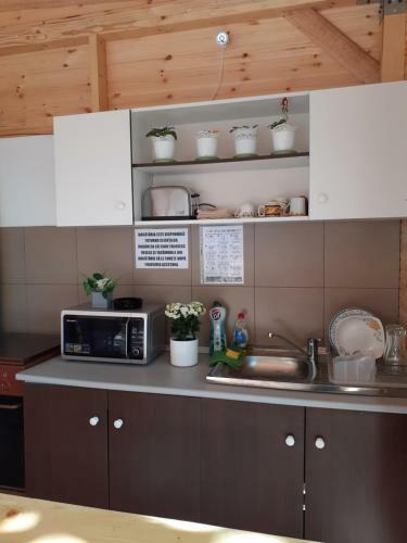 Hostal Vila Raysa Si Andrei Costinesti